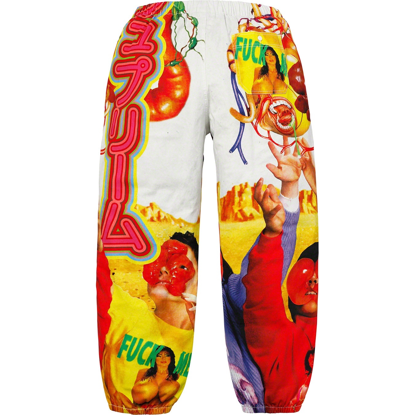 Sekintani La Norihiro/Supreme Skate Pant view 3